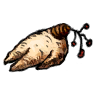 烤人参
