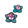 洞穴花