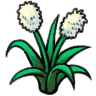 芦苇