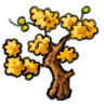 观赏桂花