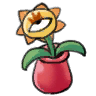大眼花