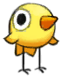 大眼鸡