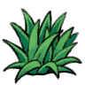 大野草